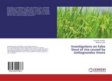 Copertina di Investigations on False Smut of rice caused by Ustilaginoidea Virens