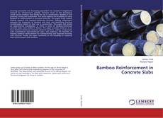 Bookcover of Bamboo Reinforcement in Concrete Slabs