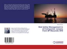 Bookcover of Risk-Safety Management in oil Companies: Lessons From BP Macondo SPill