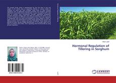 Hormonal Regulation of Tillering in Sorghum的封面