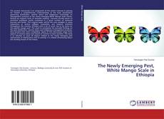 Portada del libro de The Newly Emerging Pest, White Mango Scale in Ethiopia