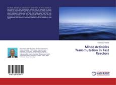 Capa do livro de Minor Actinides Transmutation in Fast Reactors 