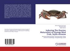 Capa do livro de Inducing The Ovarian Maturation of Orange Mud Crab, Scylla olivacea 