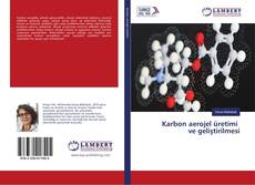 Copertina di Karbon aerojel üretimi ve geliştirilmesi