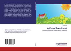 Copertina di A Virtual Experiment