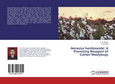 Buchcover von Aenasius bambawalei: A Promising Bioagent of Cotton Mealybugs