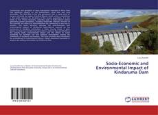 Copertina di Socio-Economic and Environmental Impact of Kindaruma Dam