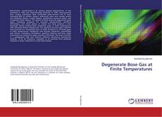Capa do livro de Degenerate Bose Gas at Finite Temperatures 