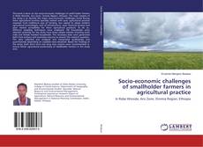 Portada del libro de Socio-economic challenges of smallholder farmers in agricultural practice