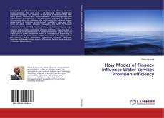 Copertina di How Modes of Finance influence Water Services Provision efficiency