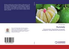 Copertina di Pummelo
