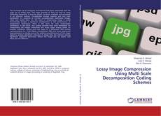 Lossy Image Compression Using Multi Scale Decomposition Coding Schemes的封面