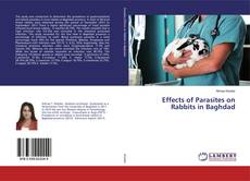 Effects of Parasites on Rabbits in Baghdad的封面