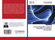 Copertina di Grup-Grupoidler, Çapraz Modüller ve Schreier Grupoidleri