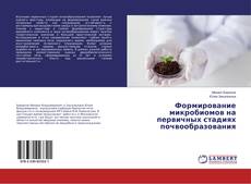 Формирование микробиомов на первичных стадиях почвообразования的封面