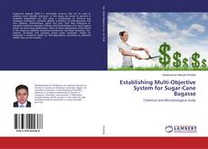 Borítókép a  Establishing Multi-Objective System for Sugar-Cane Bagasse - hoz
