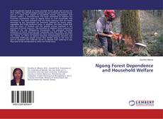 Copertina di Ngong Forest Dependence and Household Welfare
