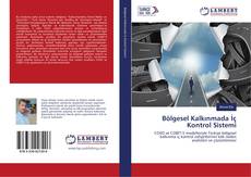 Buchcover von Bölgesel Kalkınmada İç Kontrol Sistemi