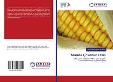Capa do livro de Mısırda Çinkonun Etkisi 