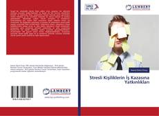 Buchcover von Stresli Kişiliklerin İş Kazasına Yatkınlıkları