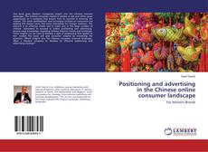 Bookcover of Positioning and advertising in the Chinese online consumer landscape