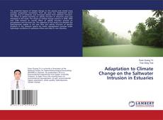 Обложка Adaptation to Climate Change on the Saltwater Intrusion in Estuaries