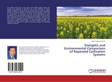 Copertina di Energetic and Environmental Comparison of Rapeseed Cultivation Systems