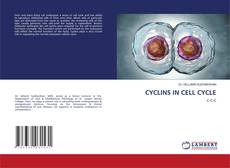 Copertina di CYCLINS IN CELL CYCLE