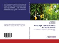 Copertina di Ultra High Density Planting system in Mango