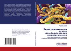 Capa do livro de Биокатализаторы на основе иммобилизованных микроорганизмов 
