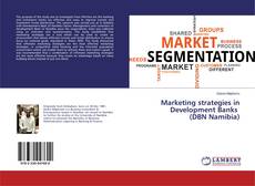 Marketing strategies in Development Banks (DBN Namibia) kitap kapağı