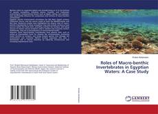 Couverture de Roles of Macro-benthic Invertebrates in Egyptian Waters: A Case Study
