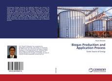 Buchcover von Biogas Production and Application Process