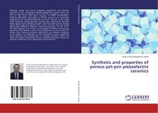 Portada del libro de Synthesis and properties of porous pzt-pcn piezoelectric ceramics