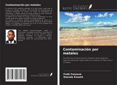 Buchcover von Contaminación por metales