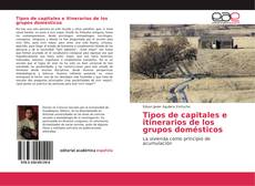 Bookcover of Tipos de capitales e itinerarios de los grupos domésticos