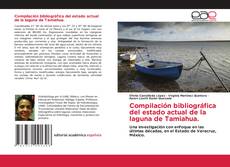 Обложка Compilación bibliográfica del estado actual de la laguna de Tamiahua.