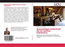 Bookcover of Arqueología Industrial de un molino hidráulico