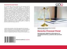 Обложка Derecho Procesal Penal