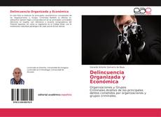 Bookcover of Delincuencia Organizada y Económica
