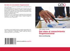 Del dato al conocimiento Organizacional kitap kapağı
