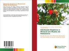 Bookcover of Adubação Orgânica e Mineral em Mudas de Romãzeira