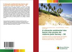 Buchcover von A situação ambiental dos bares nas praias da rodovia José Sarney – SE