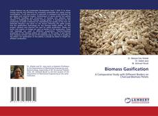 Copertina di Biomass Gasification