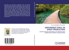Bookcover of GROUNDNUT SHELL IN SHEEP PRODUCTION