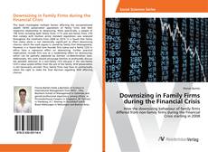 Copertina di Downsizing in Family Firms during the Financial Crisis