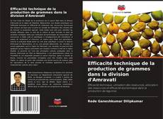 Efficacité technique de la production de grammes dans la division d'Amravati的封面