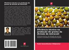 Couverture de Eficiência técnica na produção de grama da divisão de Amravati