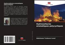 Bookcover of Hydrocarbures aromatiques polycycliques