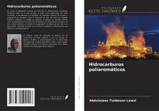 Couverture de Hidrocarburos poliaromáticos